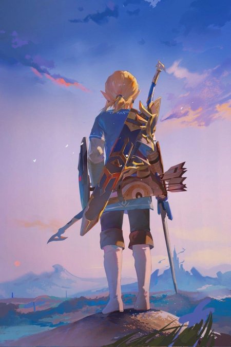 Зельда breath of the wild