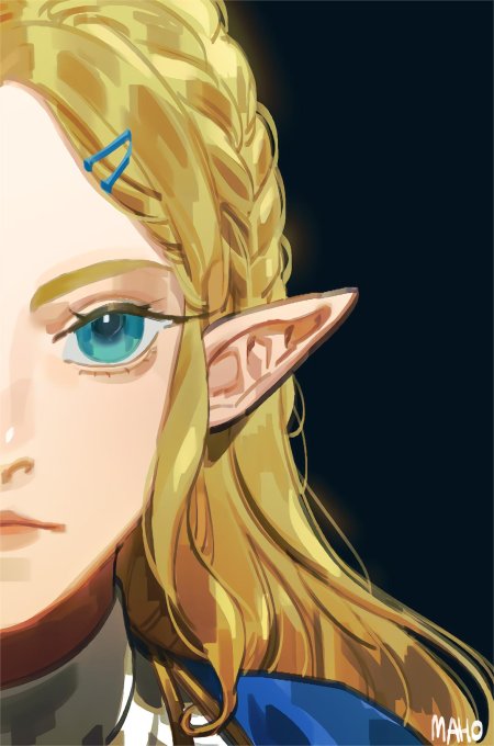 Принцесса зельда the legend of zelda