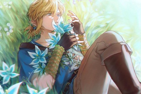 Зельда breath of the wild