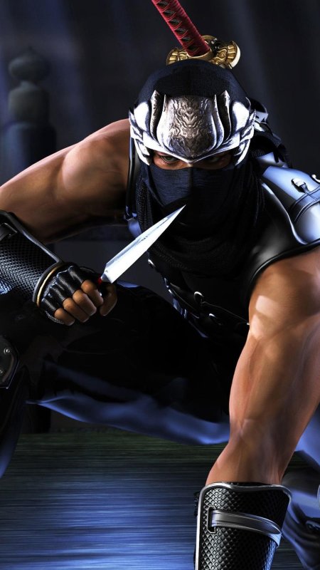 Ninja gaiden black