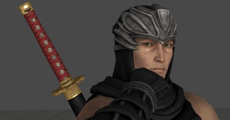 Ninja gaiden алексей