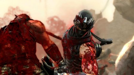 Ninja gaiden