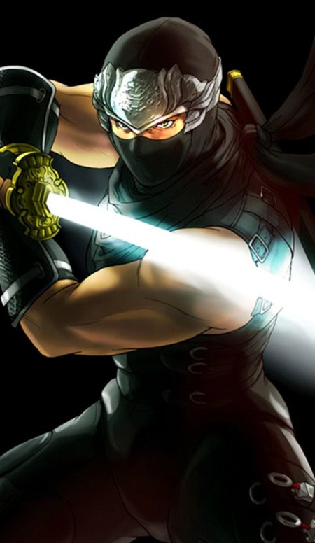Ninja gaiden dragon sword