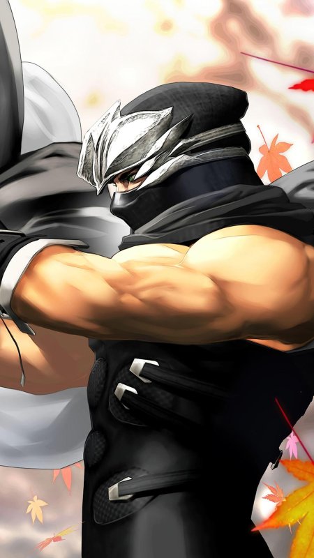 Ninja gaiden рю хаябуса