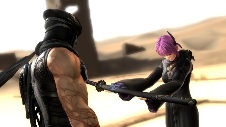 Игра ninja gaiden