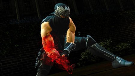 Игра ninja gaiden