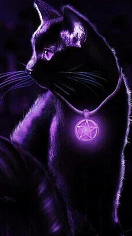 Фиолетовая кошка