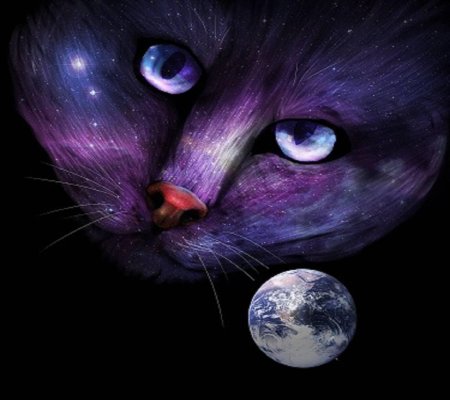 Фиолетовая кошка
