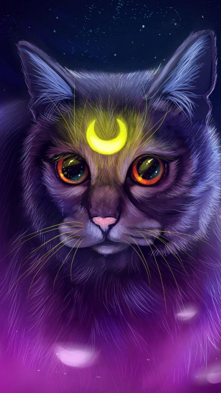Мистические коты