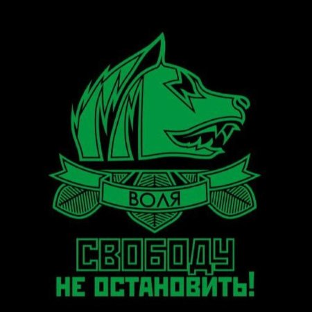 Эмблема свободы сталкер