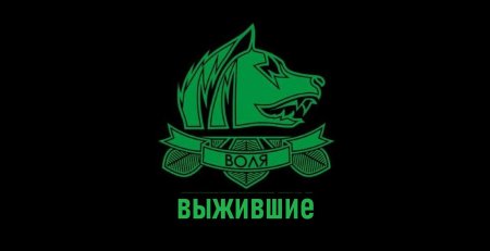 Эмблема свободы сталкер