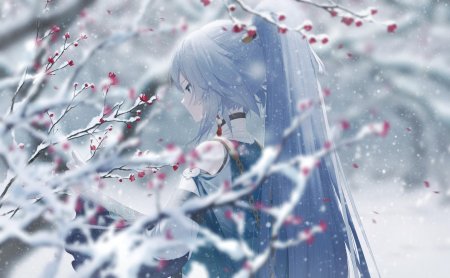 Фухуа honkai
