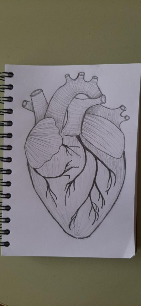 Сердце рисунок карандашом