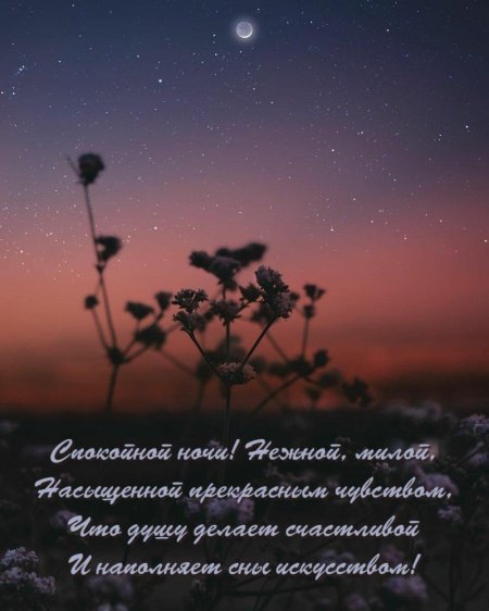 Нежное пожелание спокойной ночи