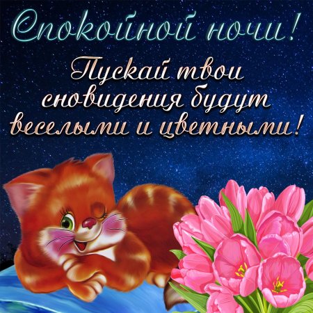 Пожелание спокойной ночи