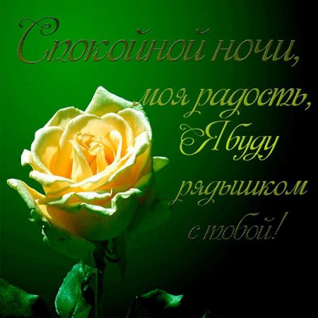 Спокойной ночи цветы