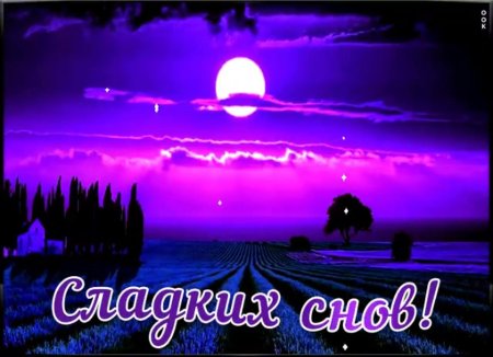 Ночи доброй