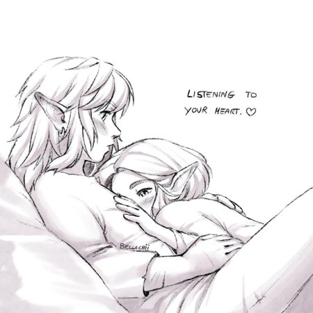 Zelda x link