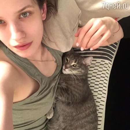 Анна борисовна чиповская