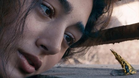 Golshifte farahani