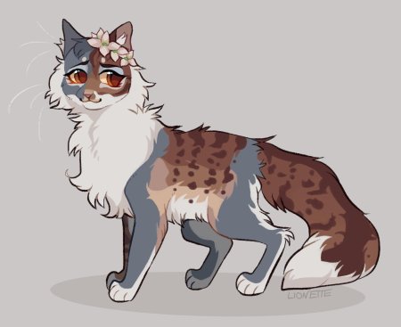 Кот воители