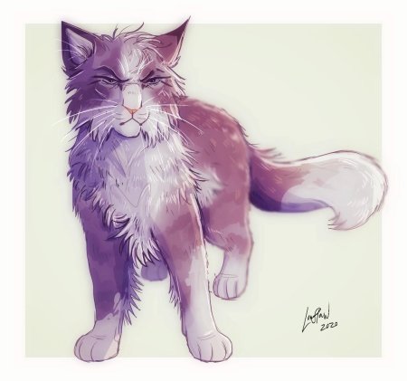 Кот воители