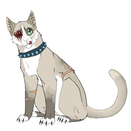 Warrior cats bloodclan