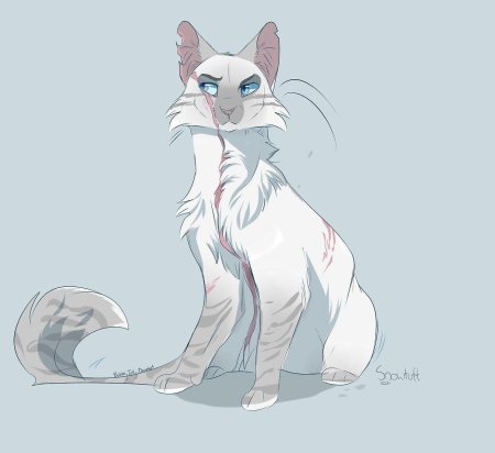 Снегоухий коты воители