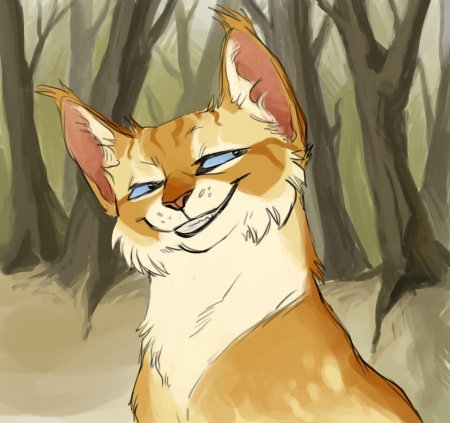 Коты воители белолапка