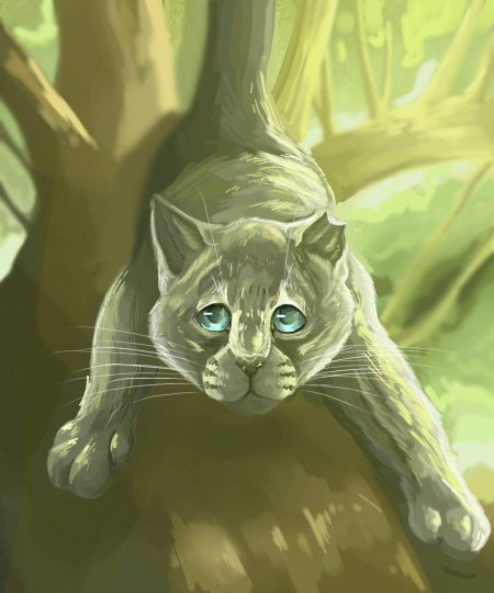 Коты воители лунница