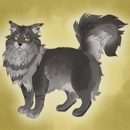 Коты воители крутобок