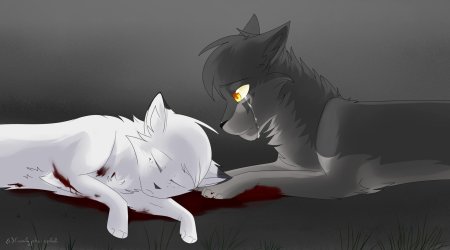 Коты воители смерть белогривки