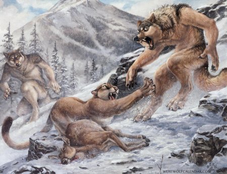 Волк оборотень werewolf любовь