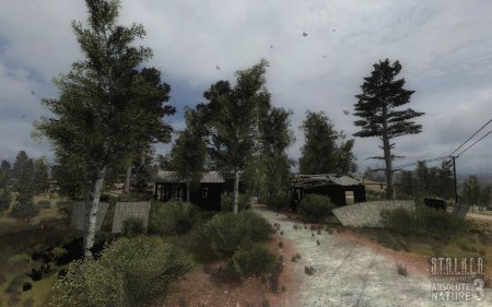 Сталкер зов припяти absolute nature