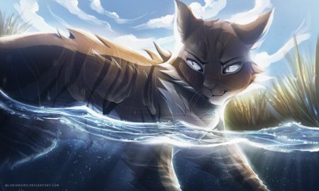Hawkfrost коты воители