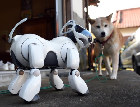 Робот собака aibo