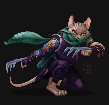 Кошка ниндзя