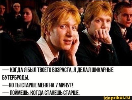 Гарри поттер фред и джордж