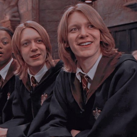 Гарри поттер близнецы уизли