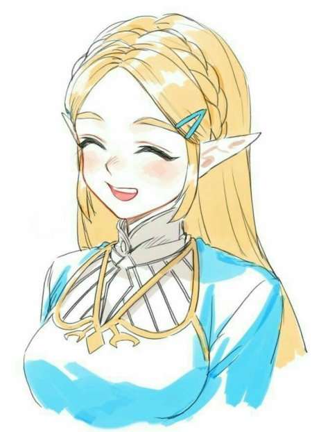 Принцесса зельда botw
