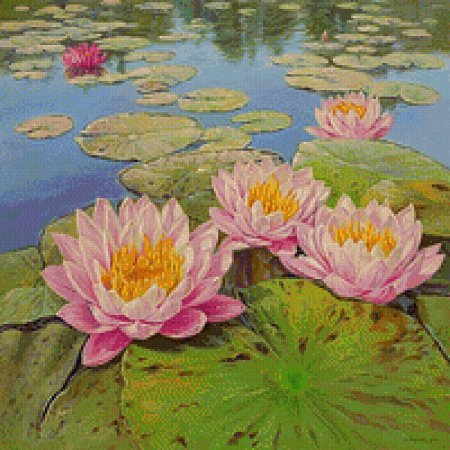 Водяная лилия/nymphaea
