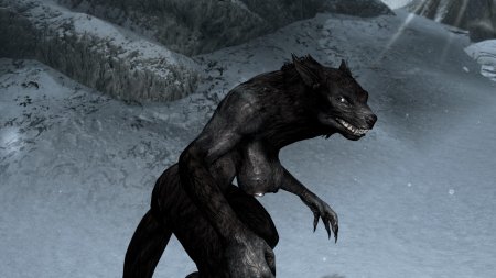 Skyrim special edition вервольф