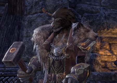 The elder scrolls вервольф