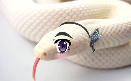 Милая змея