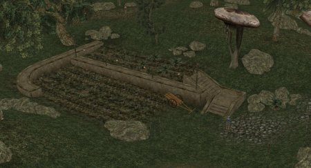 Morrowind rebirth