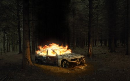 Машина в лесу