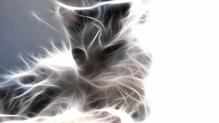Котик