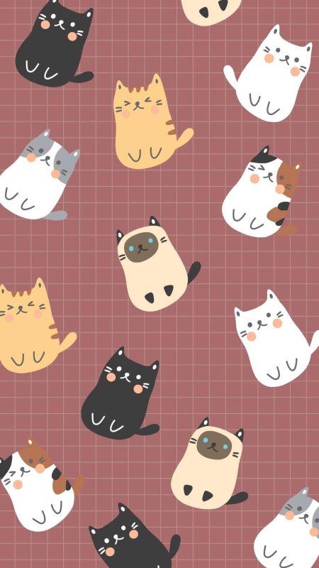 Фон с котиками