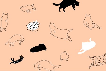Коты минимализм