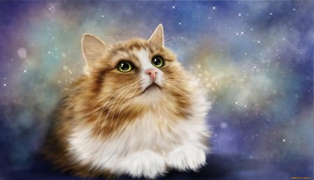 Кошка